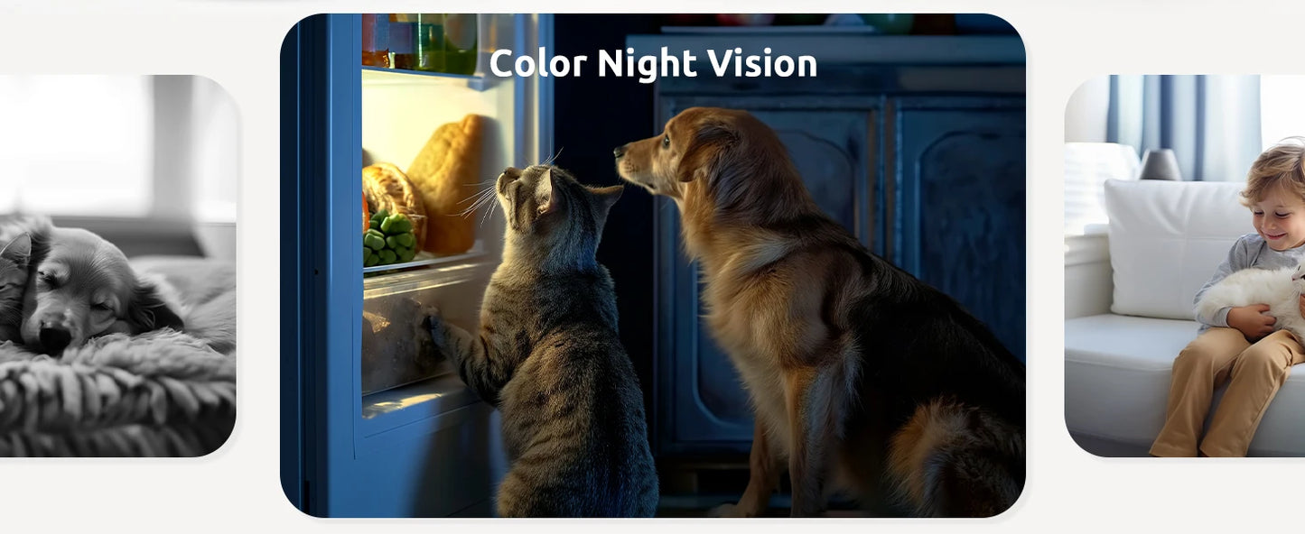 Blurams 2K Indoor Cams (2-Pack) – Smart Home Monitoring with One-Touch Calling