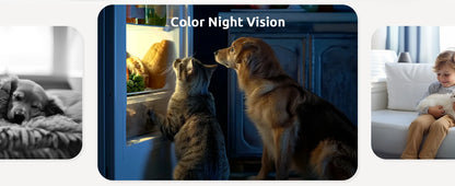 Blurams 2K Indoor Cams (2-Pack) – Smart Home Monitoring with One-Touch Calling