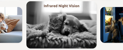 Blurams 2K Indoor Cams (2-Pack) – Smart Home Monitoring with One-Touch Calling