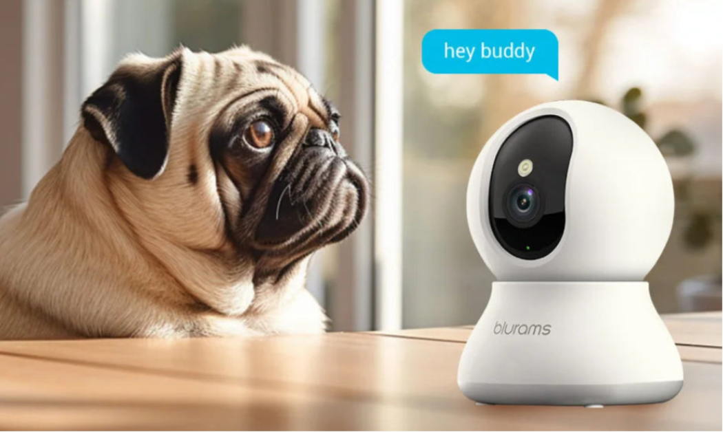 Blurams 2K Indoor Cams (2-Pack) – Smart Home Monitoring with One-Touch Calling