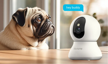 Blurams 2K Indoor Cams (2-Pack) – Smart Home Monitoring with One-Touch Calling