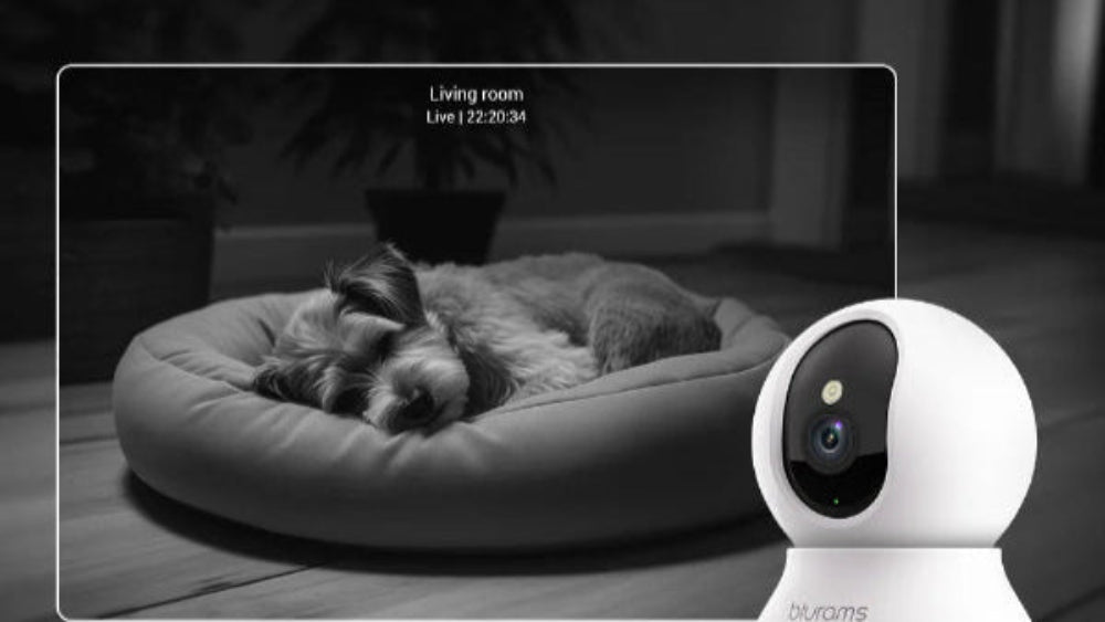 Blurams 2K Indoor Cams (2-Pack) – Smart Home Monitoring with One-Touch Calling